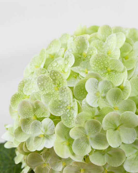 4Pcs Large Hydrangea Artificial Flowers,20 Inch Latex Real Touch Hydrangeas Lifelike Hydrangea Flower for Home Wedding Bouquets Centerpieces Party Living Room Decoration(Light Green)