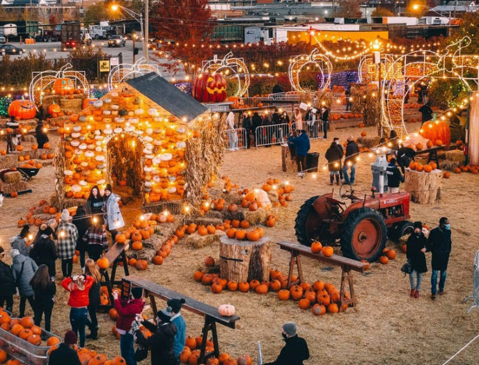 Fall and Halloween