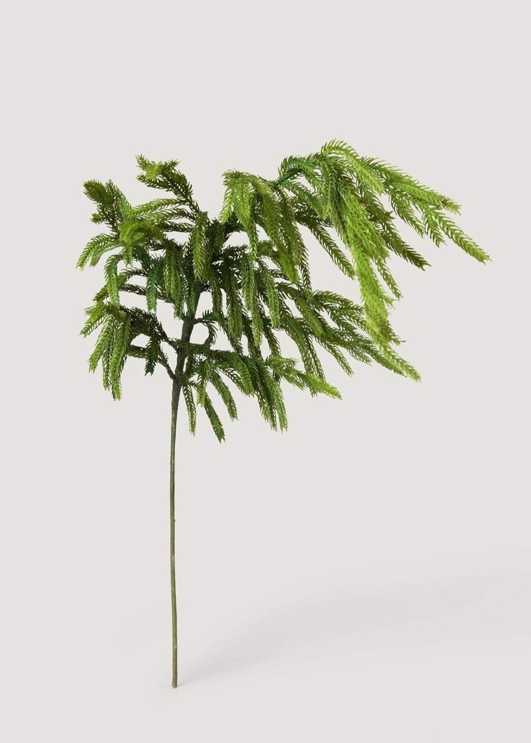 Real Touch Norfolk Pine Branch - 36"