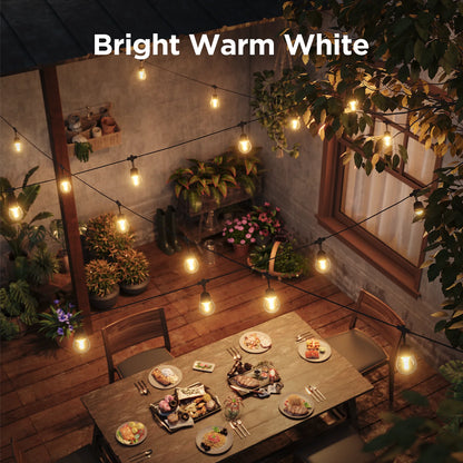 48Ft Outdoor Clear Bulb String Lights