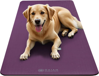 Essentials 2/5" Thick (10Mm) Yoga & Pilates, Fitness & Exercise Mat with Easy-Cinch Carrier Strap Cushion Support for Fitness and Gym Workouts