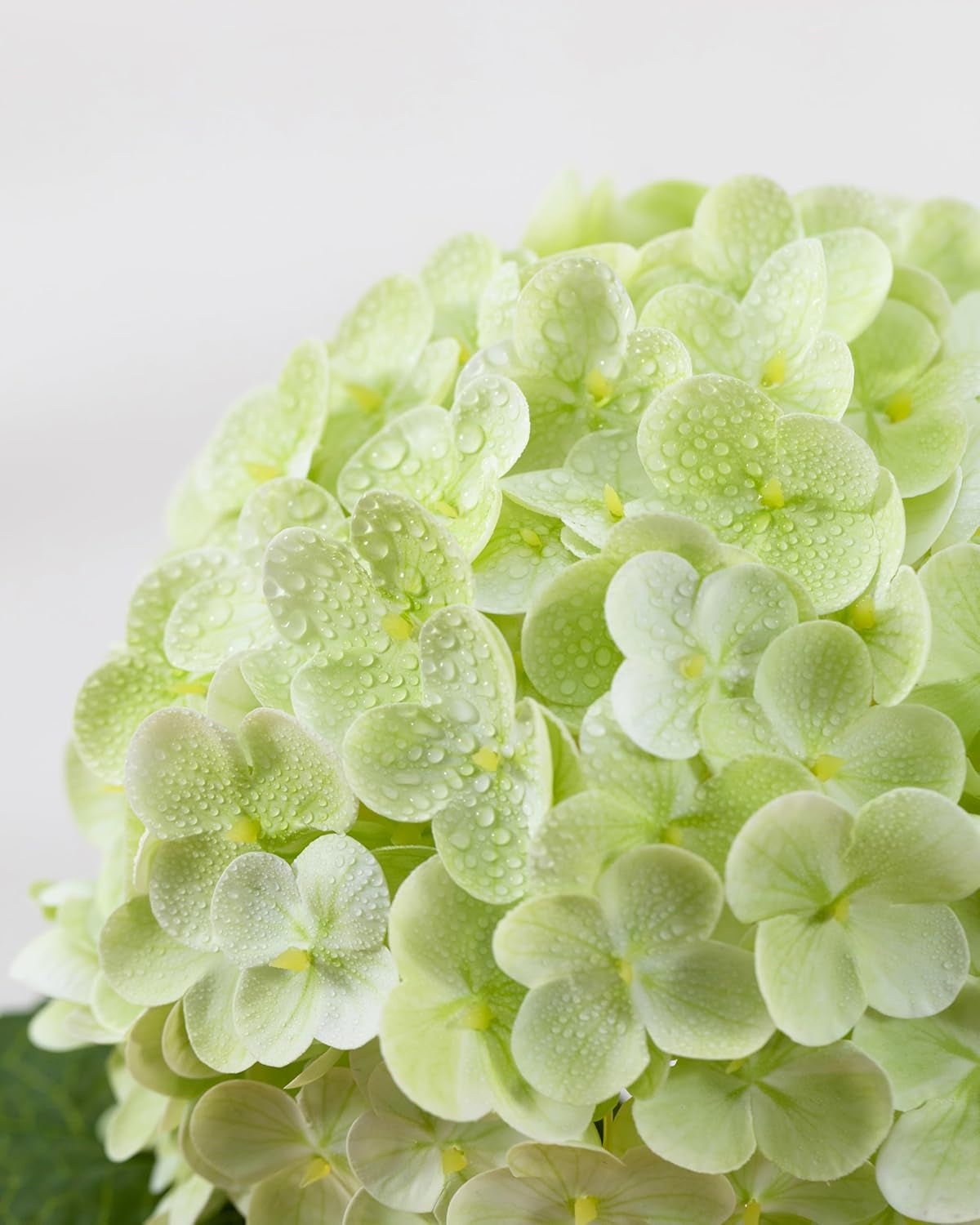 4Pcs Large Hydrangea Artificial Flowers,20 Inch Latex Real Touch Hydrangeas Lifelike Hydrangea Flower for Home Wedding Bouquets Centerpieces Party Living Room Decoration(Light Green)