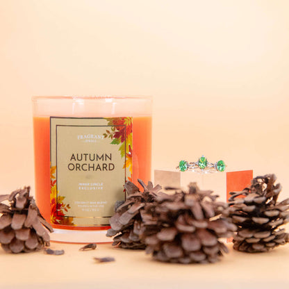 Autumn Orchard - Candle and Bath Bomb Set Baskit Bazaar