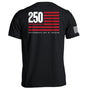 America 250 Years Anniversary Flag