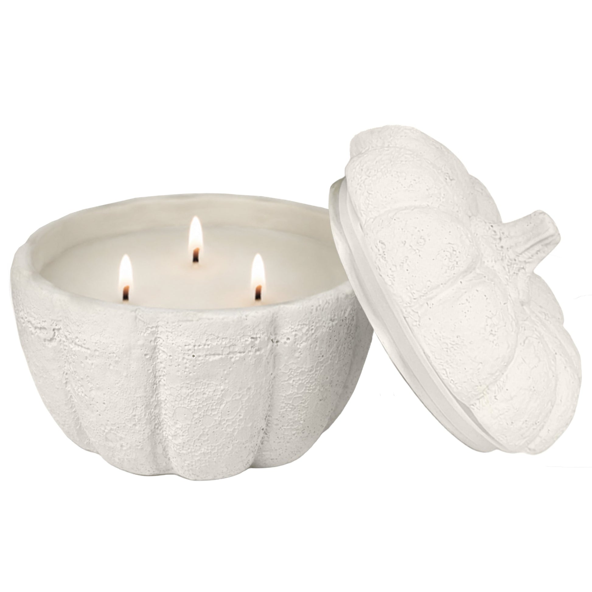 Cashmere and Vanilla Soy Candle - Cement Pumpkin Jar - 13.5 oz Baskit Bazaar