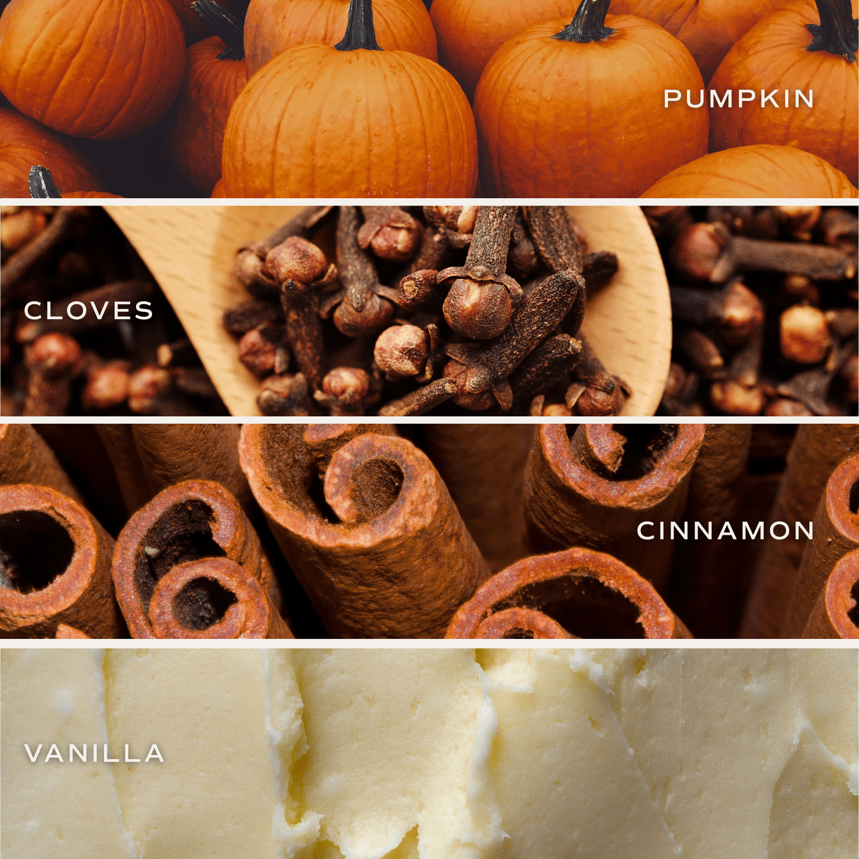 Pumpkin Spice Soy Candle - Ceramic Pumpkin Jar - 8 oz Baskit Bazaar