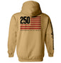 America 250 Years Anniversary Flag