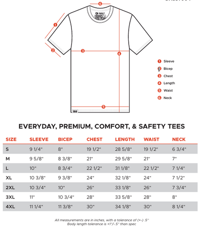 USA 250 - Wings T-Shirt - Made in the USA