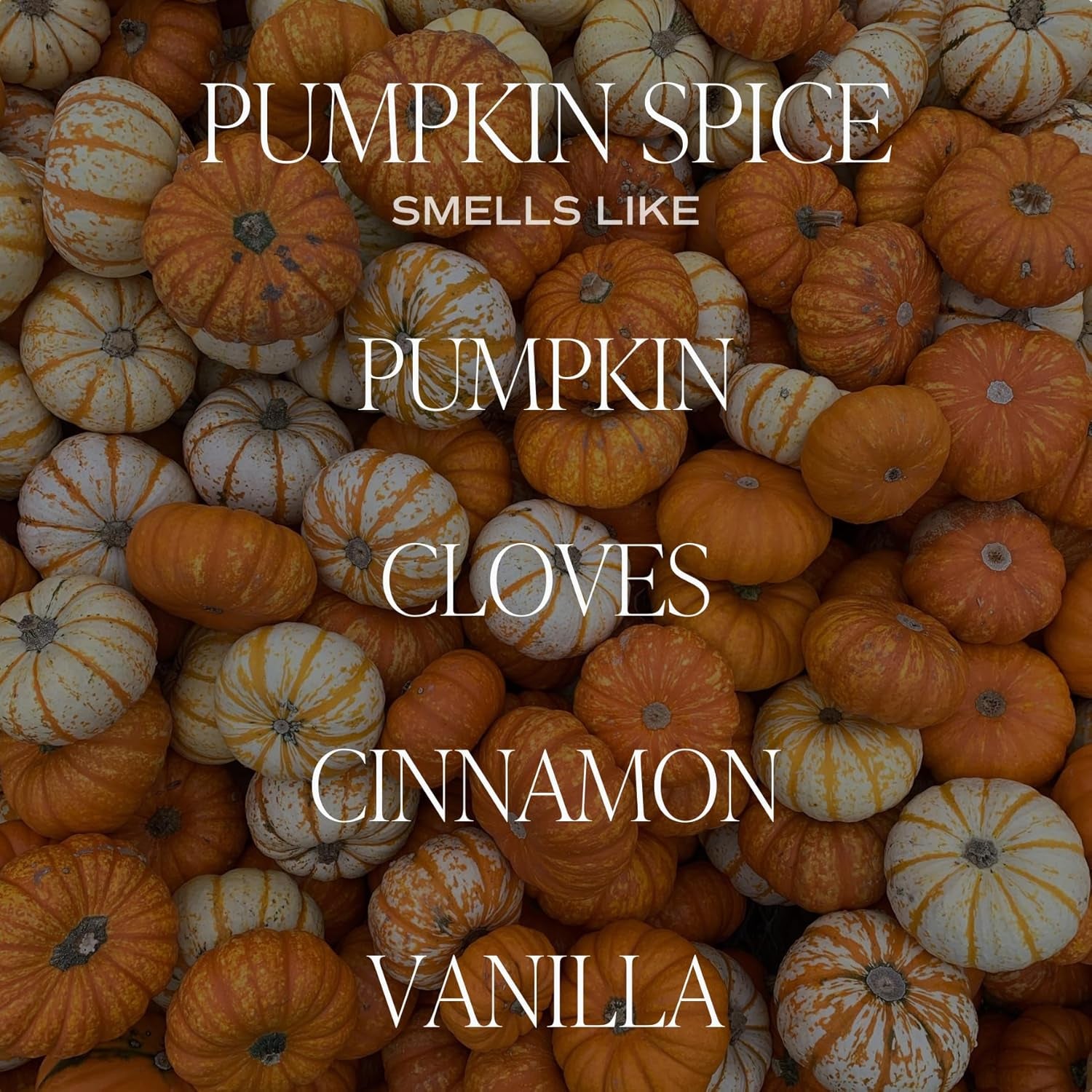 Pumpkin Spice Candle - Fall Candles with Pumpkin, Clover, Cinnamon & Vanilla Scent for Home - Pumpkin Candle with 70 Hours Burn Time - 15Oz Orange Jar Pumpkin Spice Soy Candles