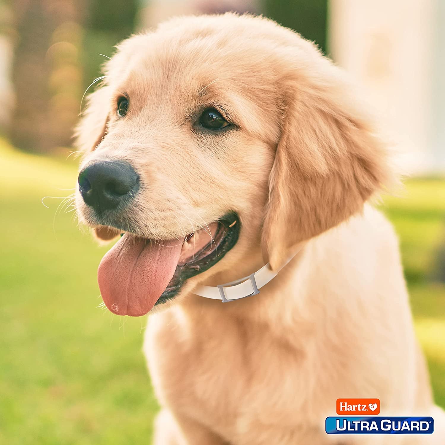 Ultraguard Flea & Tick Collar for Dogs and Puppies - 26" Neck, 7 Month Protection (Pack of 2)